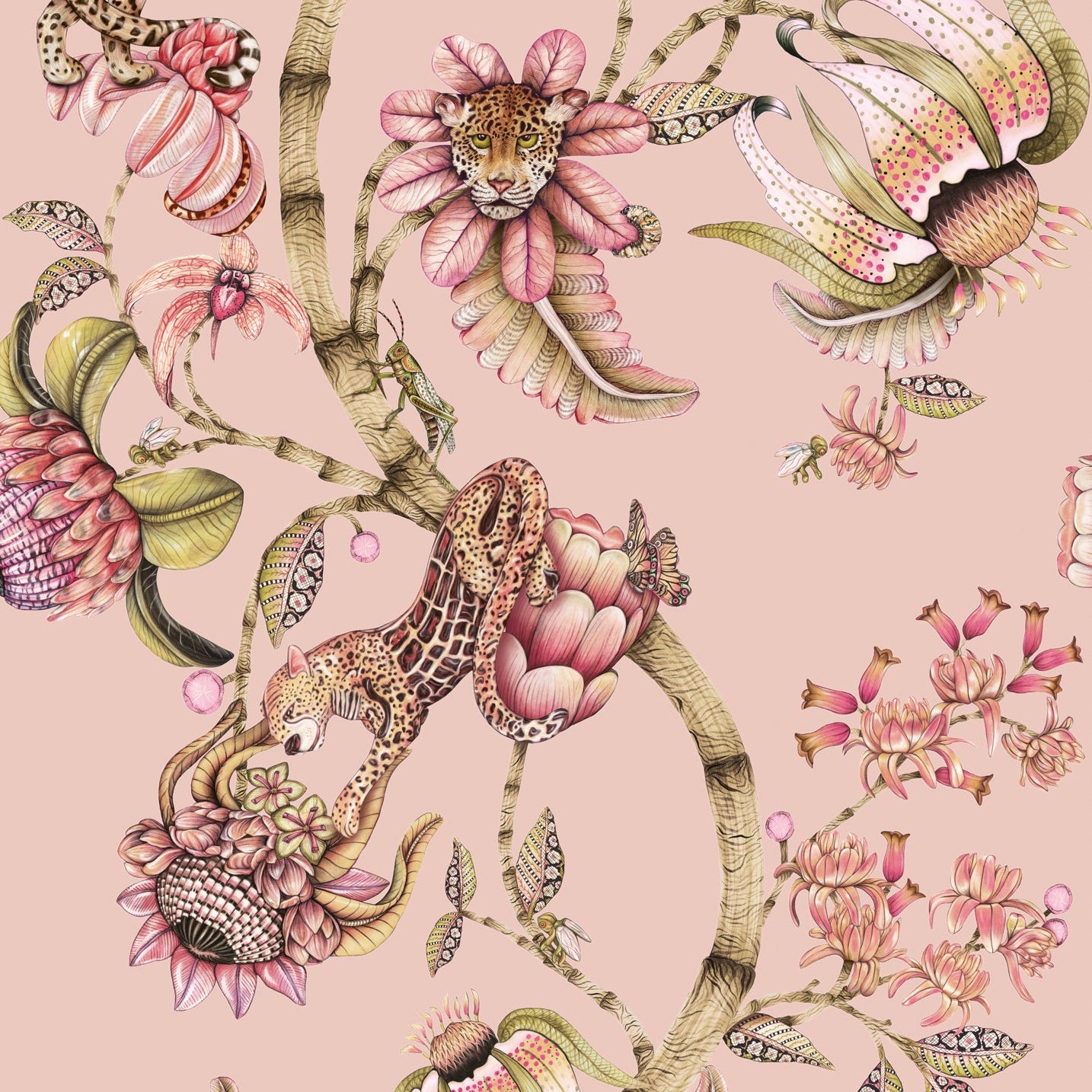 Cole and Son behang Protea Panthera Rose Quartz 129/6024