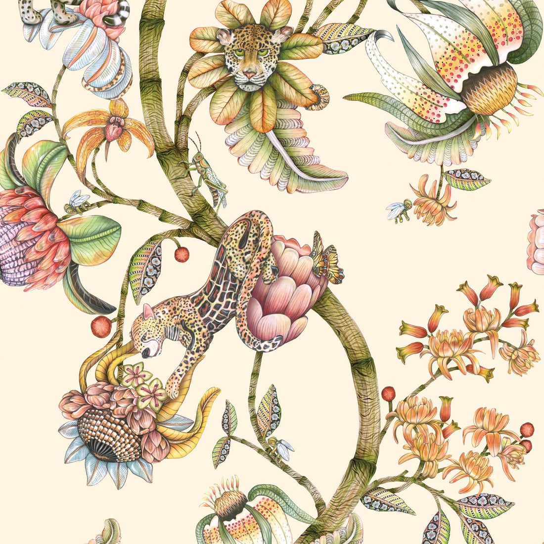 Cole and Son behang Protea Panthera Stone 129/6021