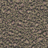 Cole and Son behang Hand-Painted Leopard 130/4011