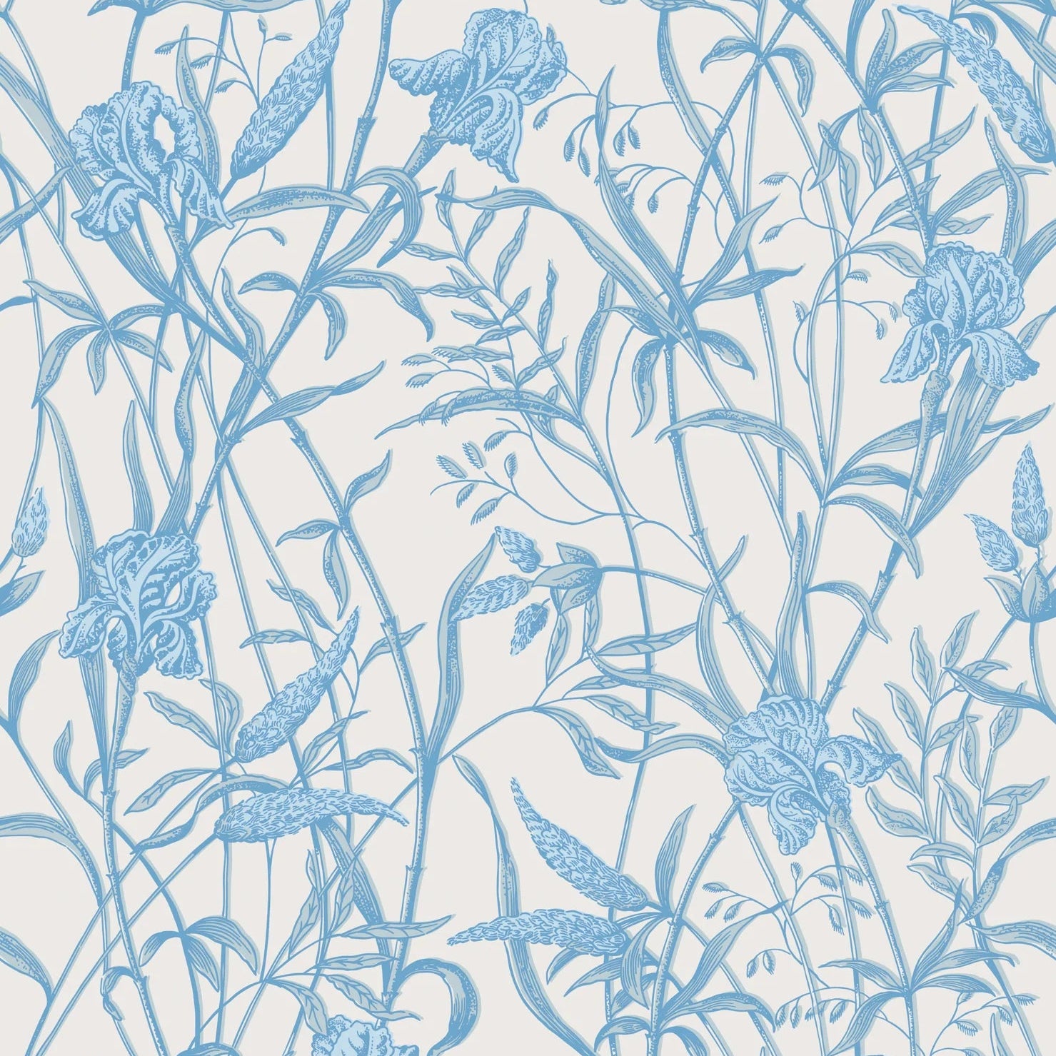 Cole and Son behang Iris Soft Cerulean on Porcelain 128/5026