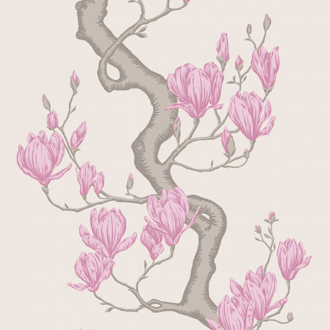 Cole and Son behang Magnolia Tree Parchment and Soft Fuchsia 128/1002