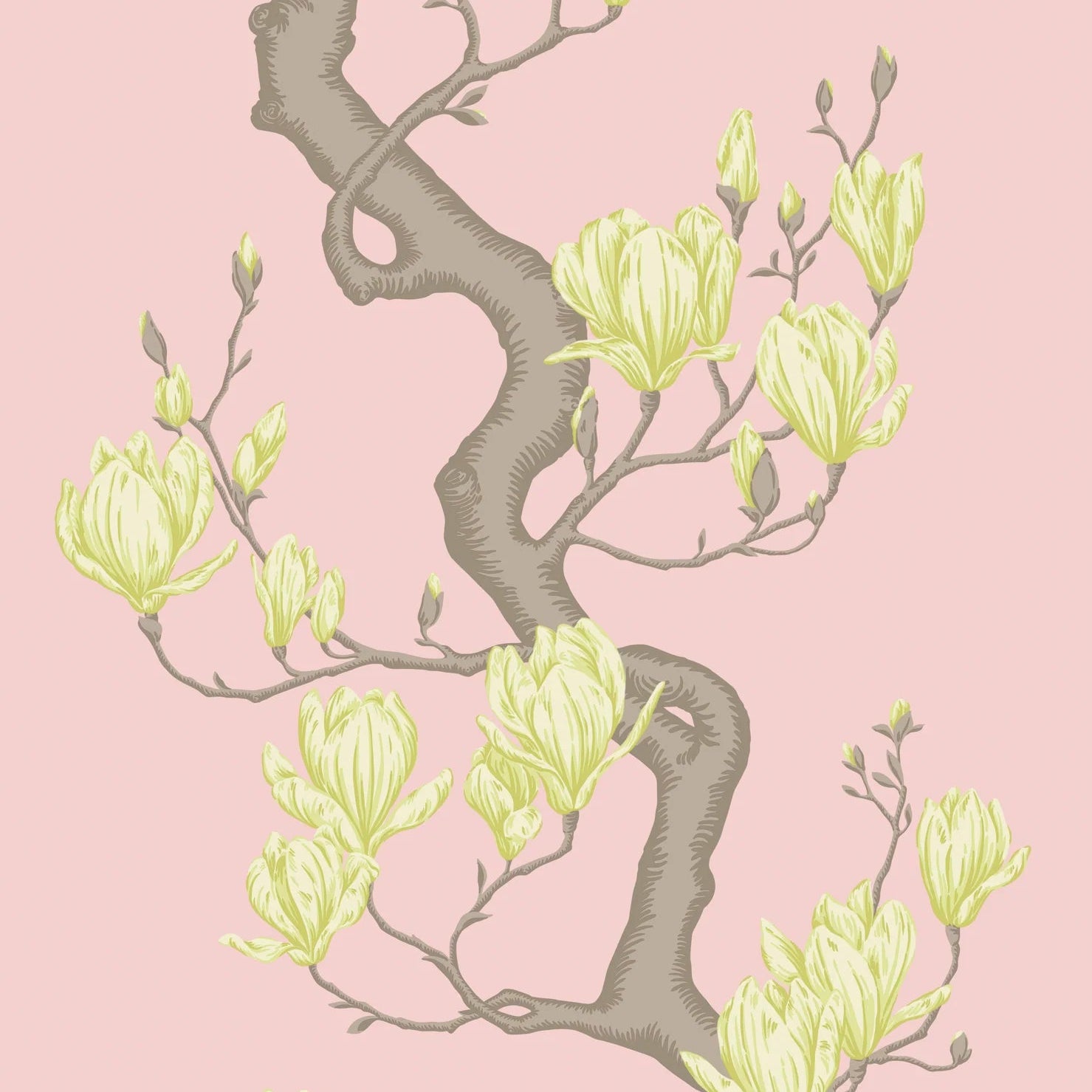 Cole and Son behang Magnolia Tree Rose Pink and Soft Lemon 128/1005