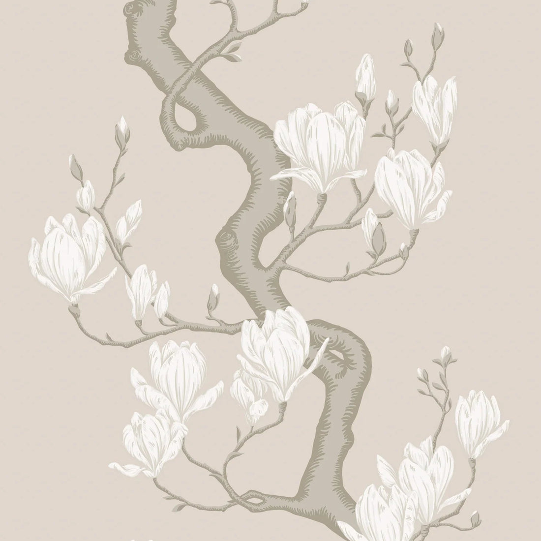 Cole and Son behang Magnolia Tree Soft Cream and Powder 128/1003