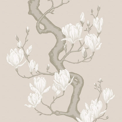 Cole and Son behang Magnolia Tree Soft Cream and Powder 128/1003