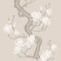 Cole and Son behang Magnolia Tree Soft Cream and Powder 128/1003