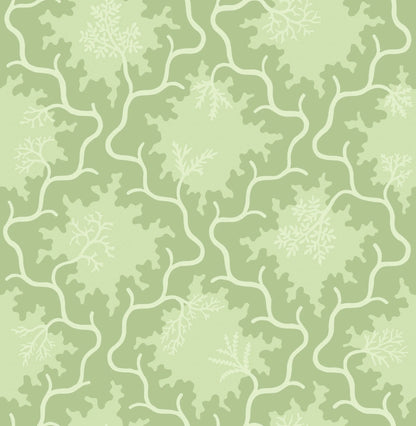 Cole and Son behang Moss Trellis Matcha and Pistachio Green 128/4022