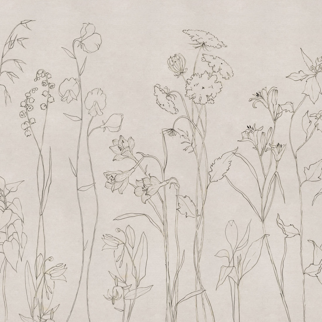 Coordonné Behang Countryside Ink B00365