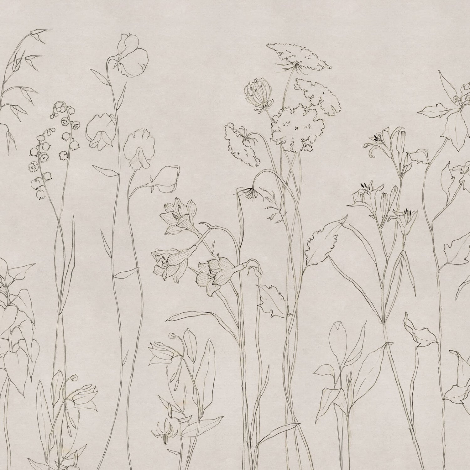 Coordonné Behang Countryside Ink B00365