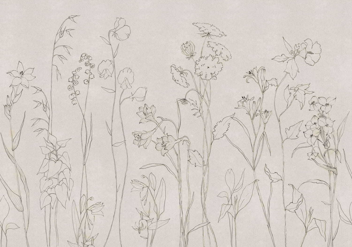 Coordonné Behang Countryside Ink B00365