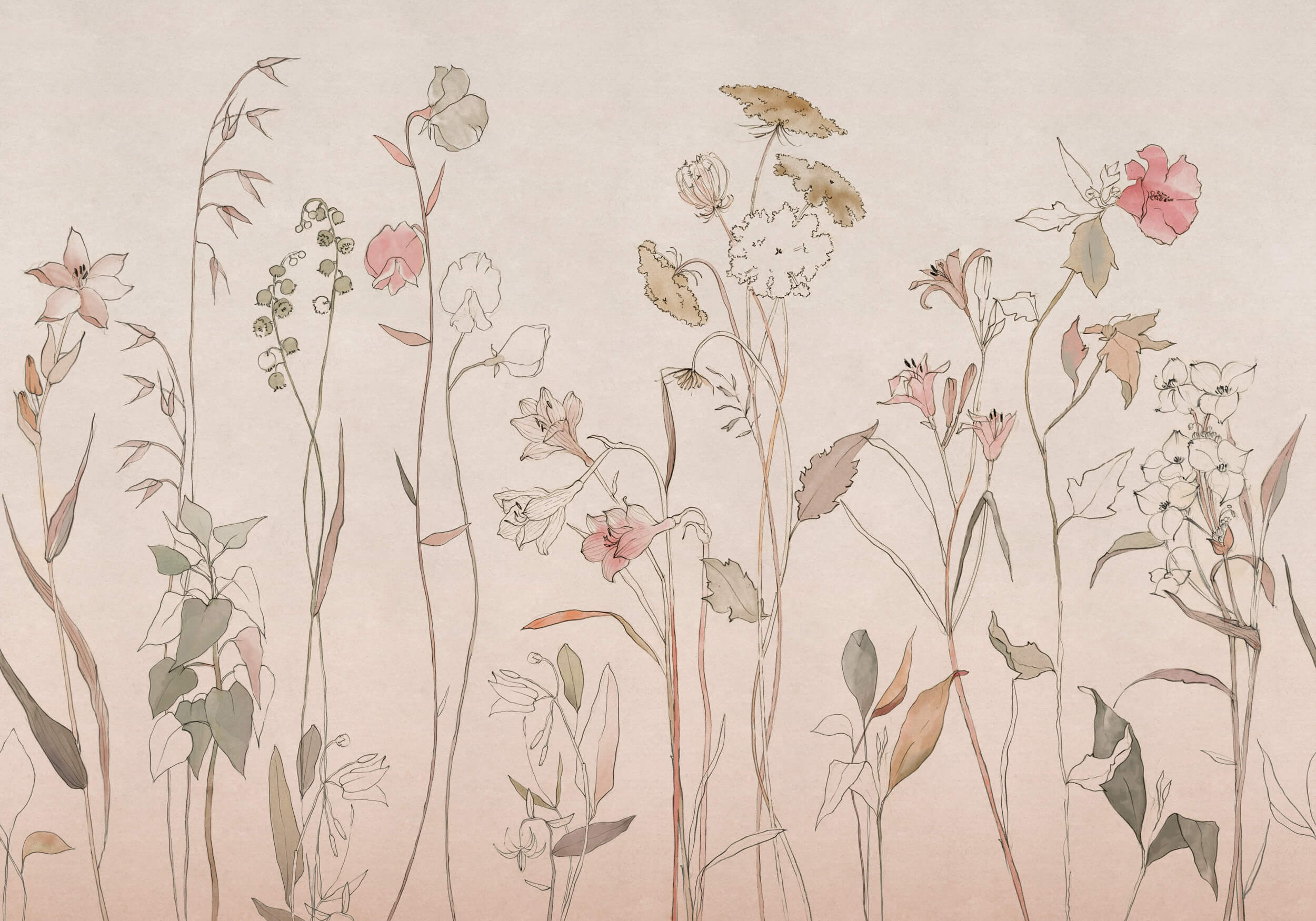 Coordonné Behang Countryside Pink B00363