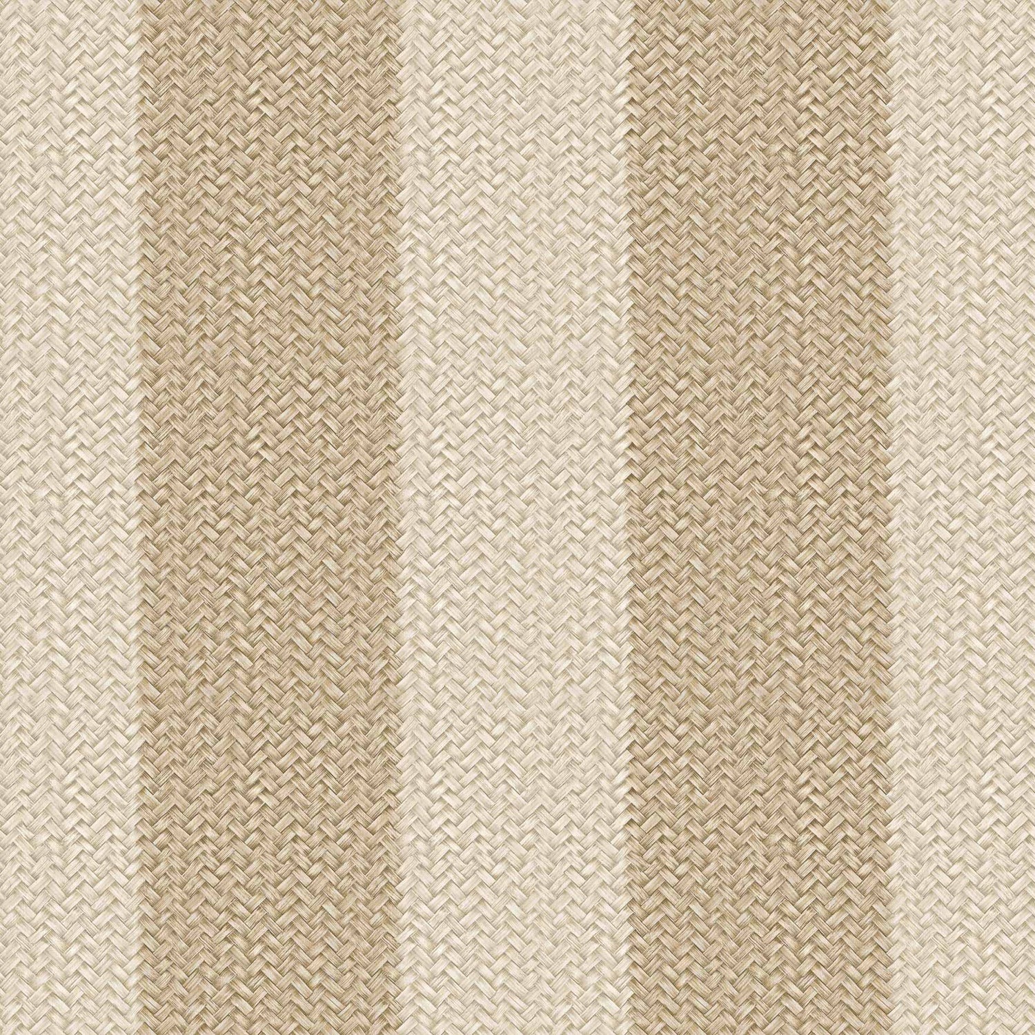 Coordonné behang D00269 Palmeral