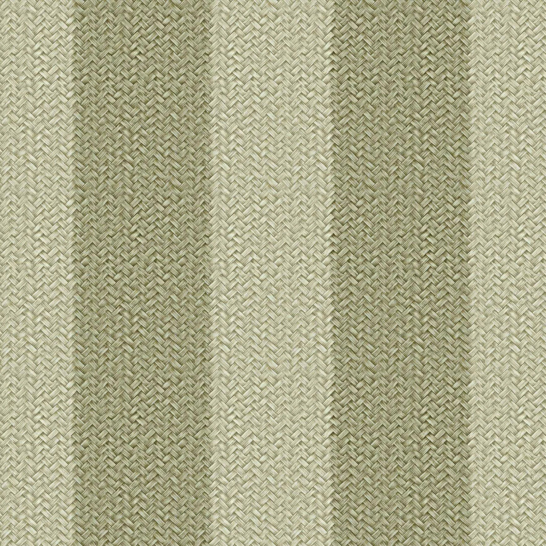 Coordonné behang D00273 Palmeral