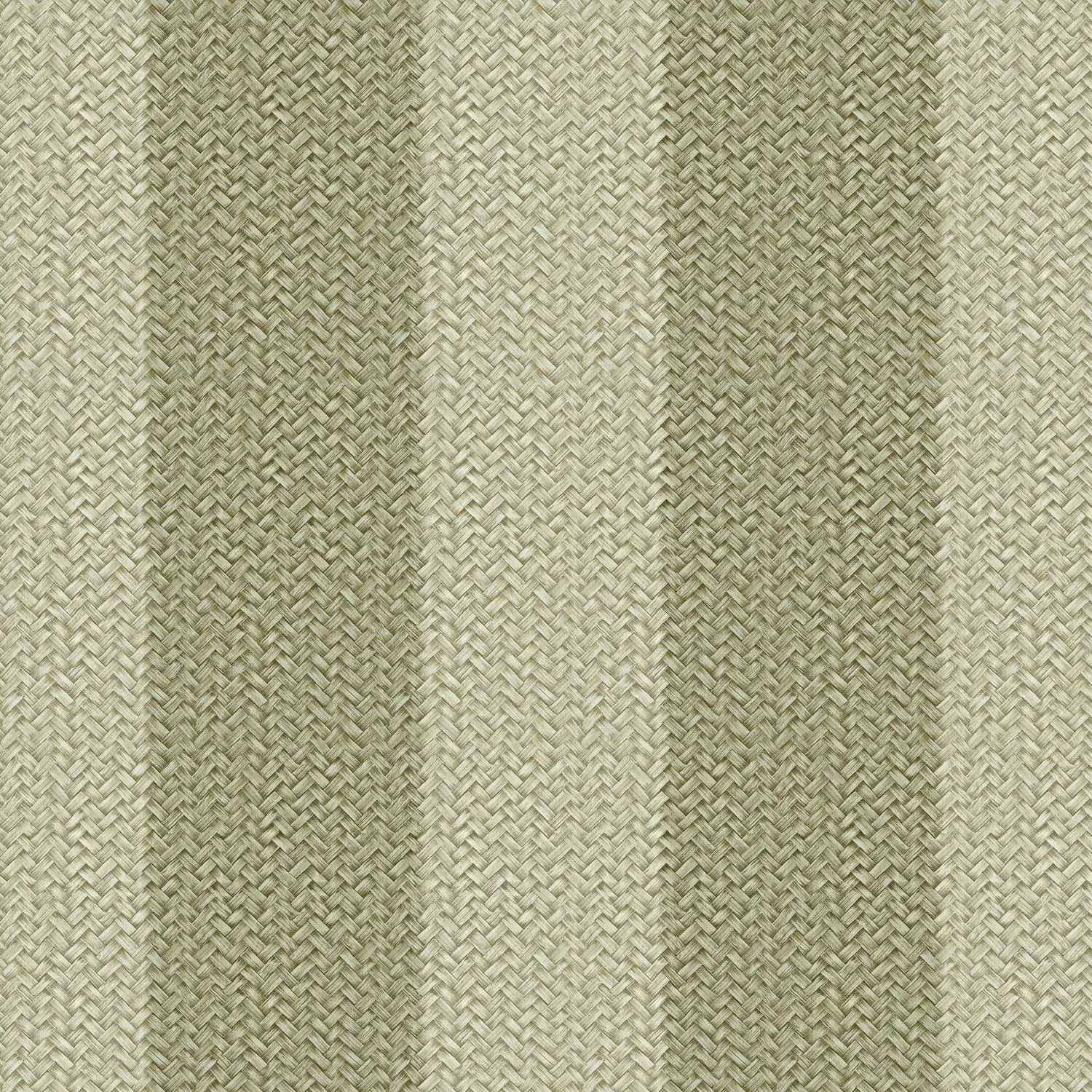 Coordonné behang D00273 Palmeral