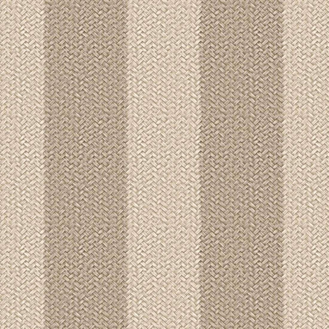 Coordonné behang D00274 Palmeral