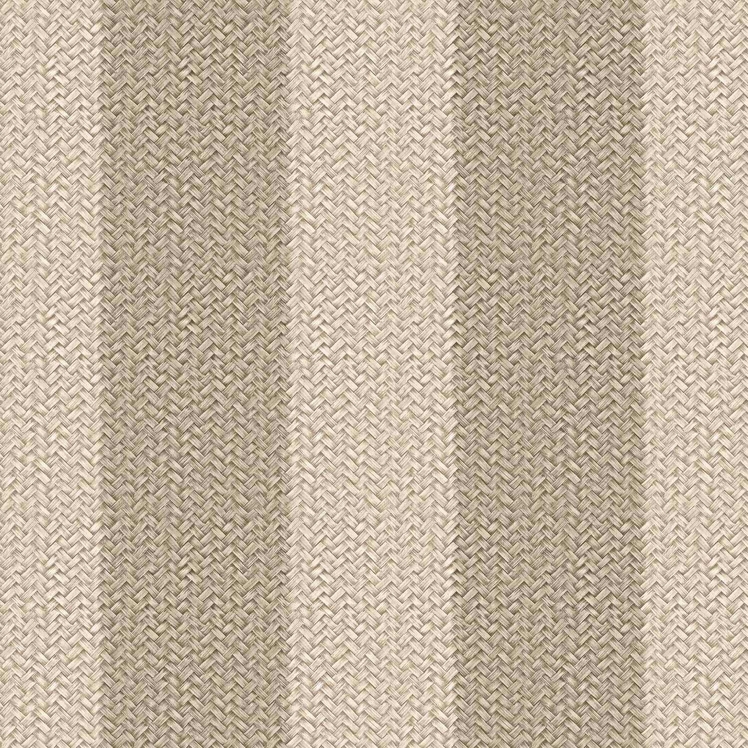 Coordonné behang D00274 Palmeral