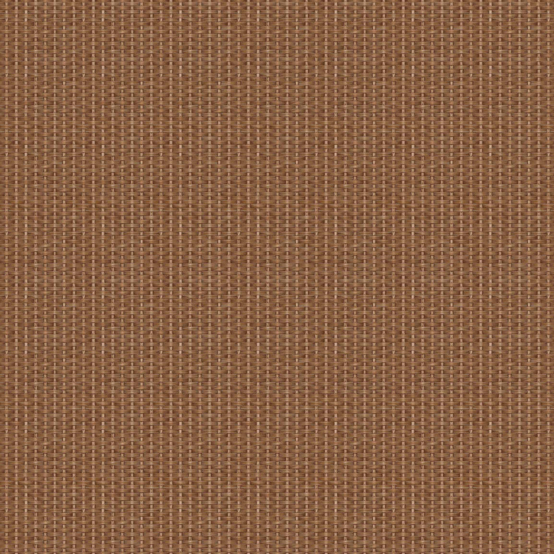Coordonné behang Kuba D00234