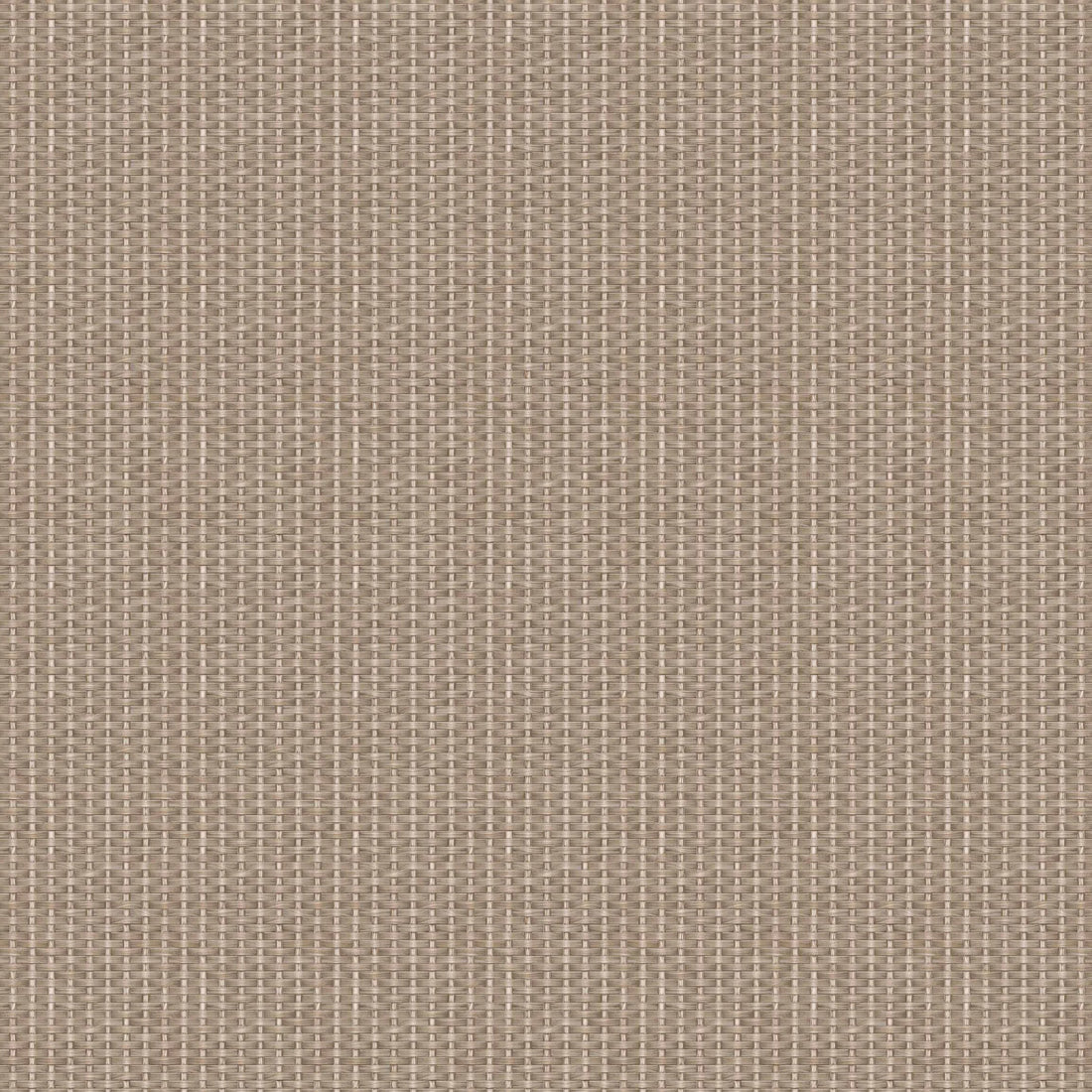 Coordonné behang Kuba D00235