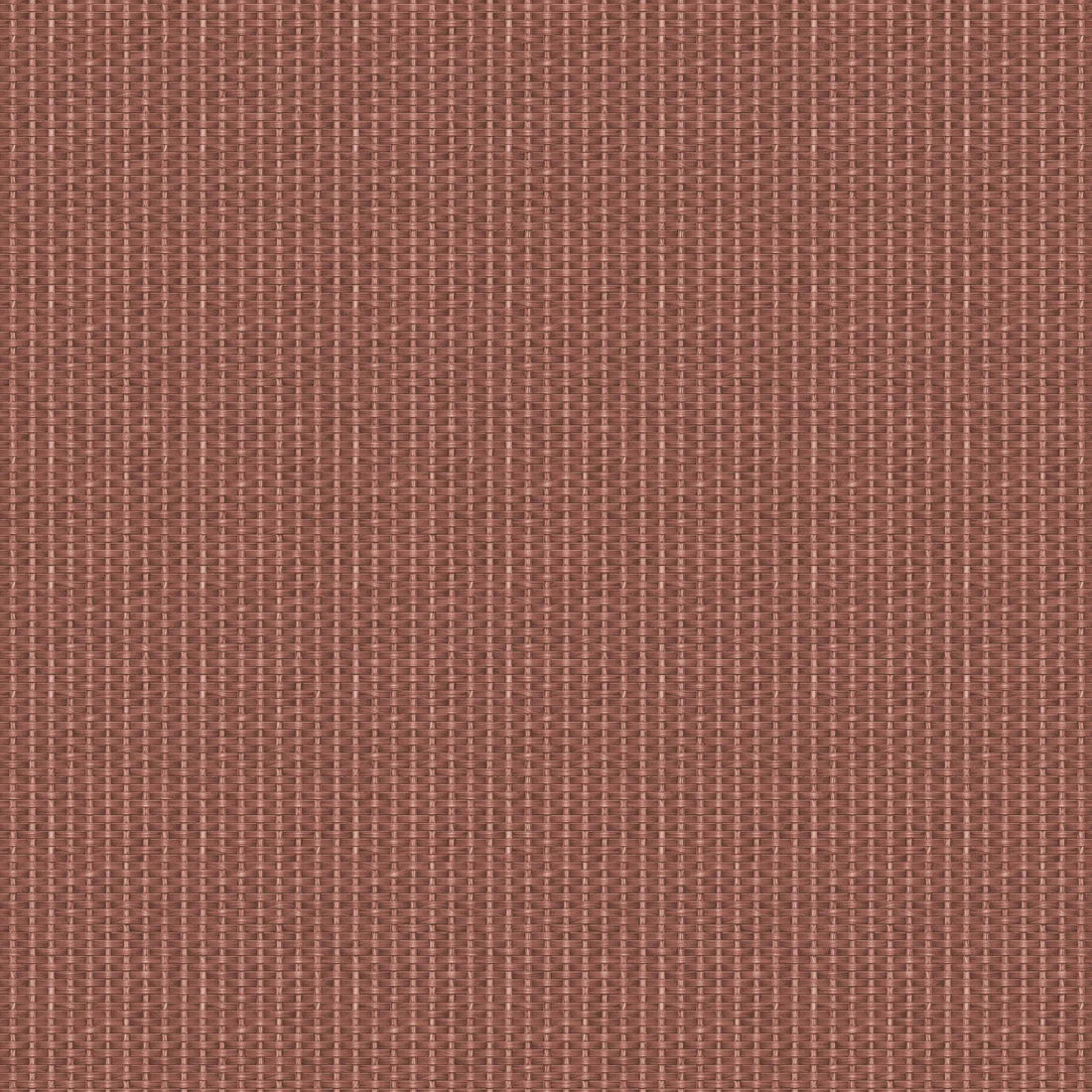 Coordonné behang Kuba D00236