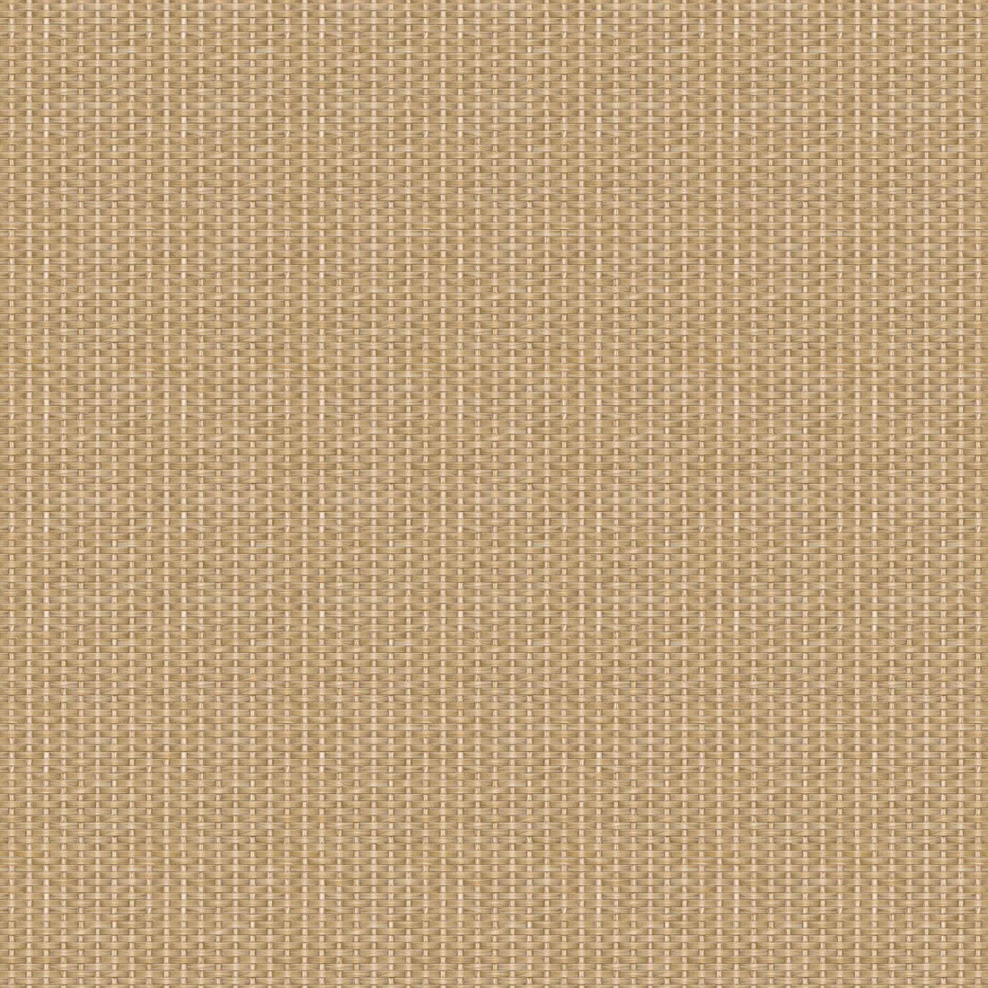 Coordonné behang Kuba D00237