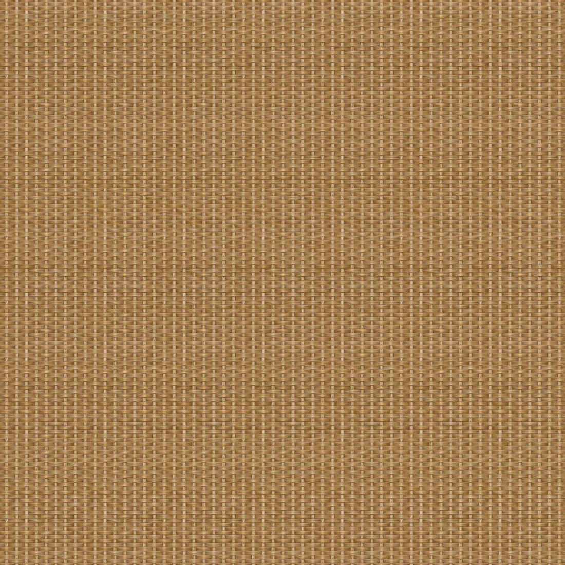 Coordonné behang Kuba D00238