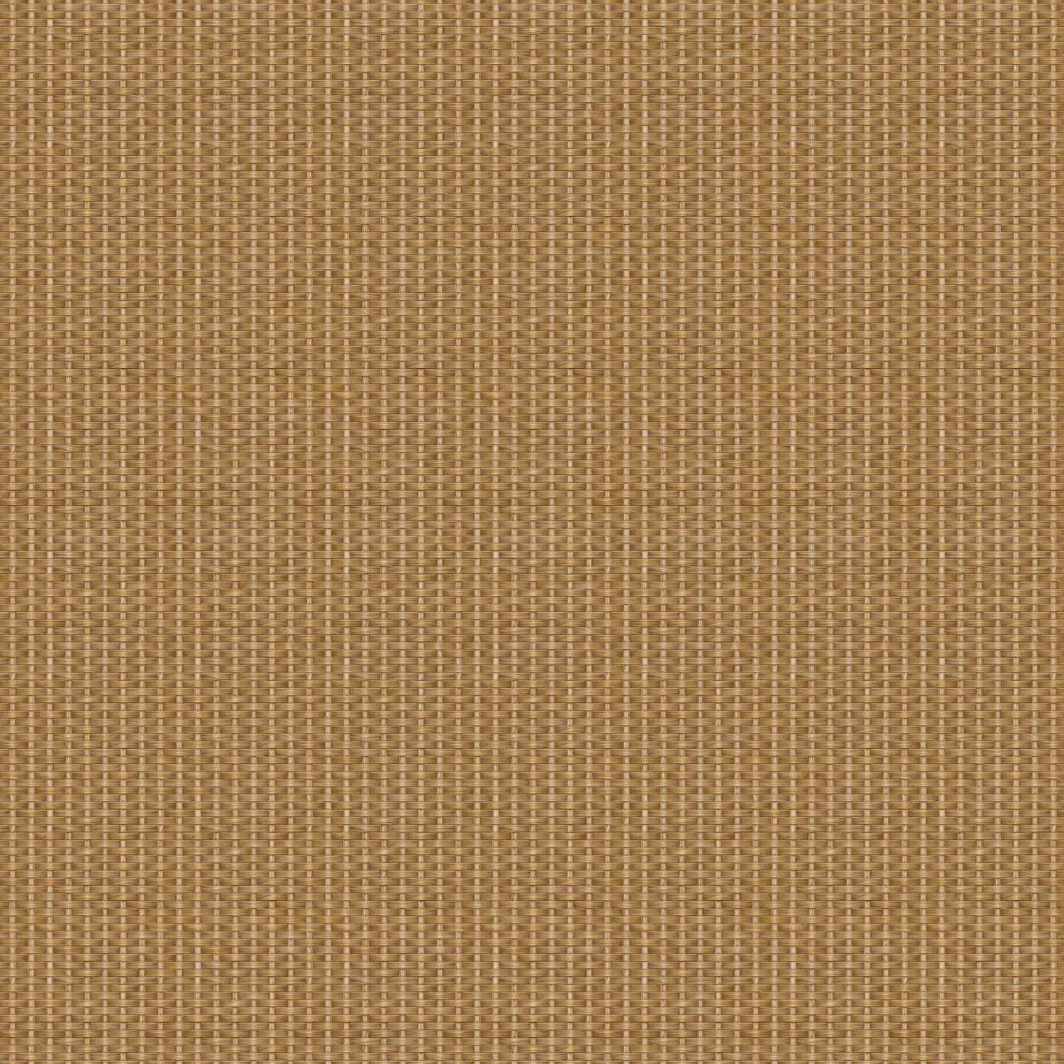Coordonné behang Kuba D00238