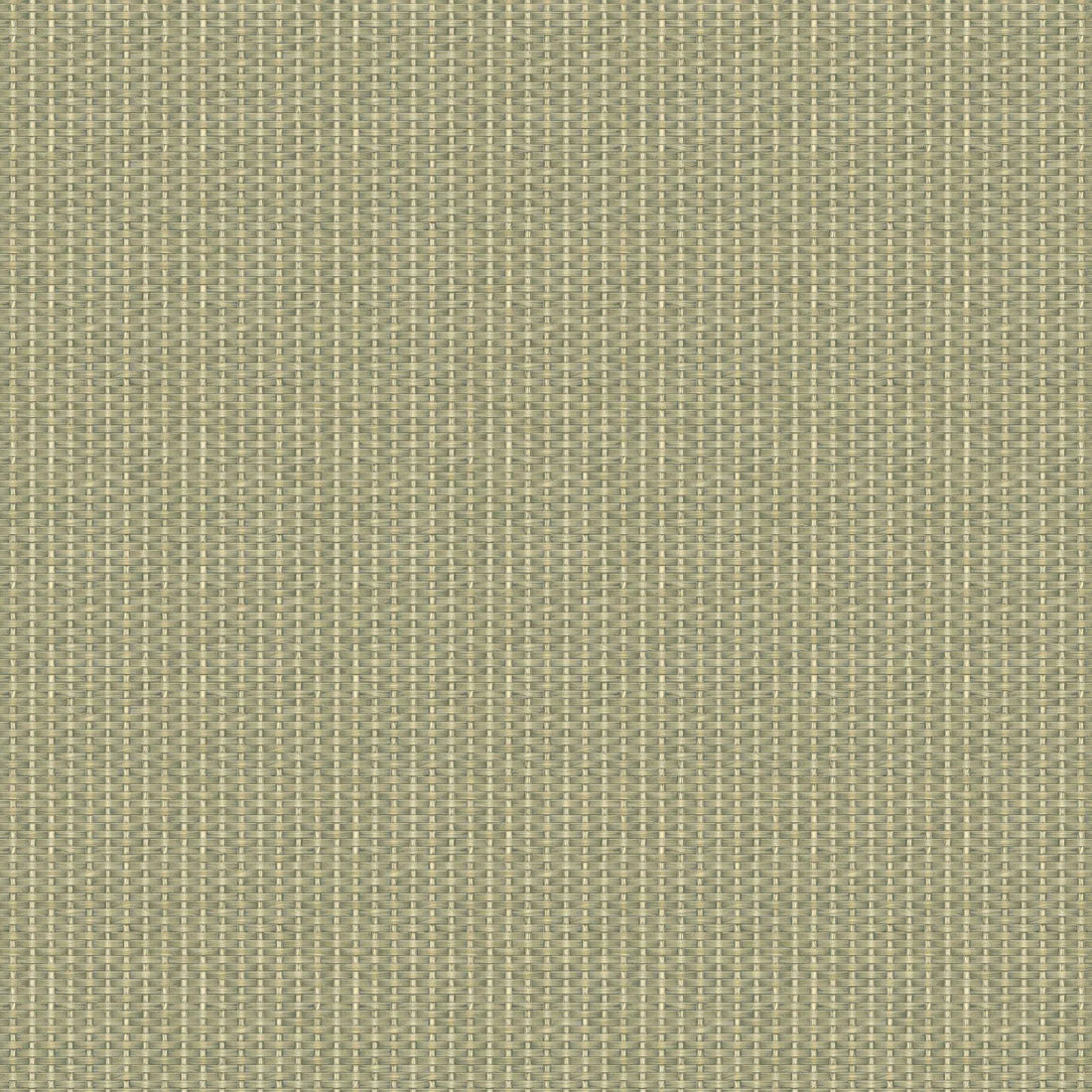 Coordonné behang Kuba D00240