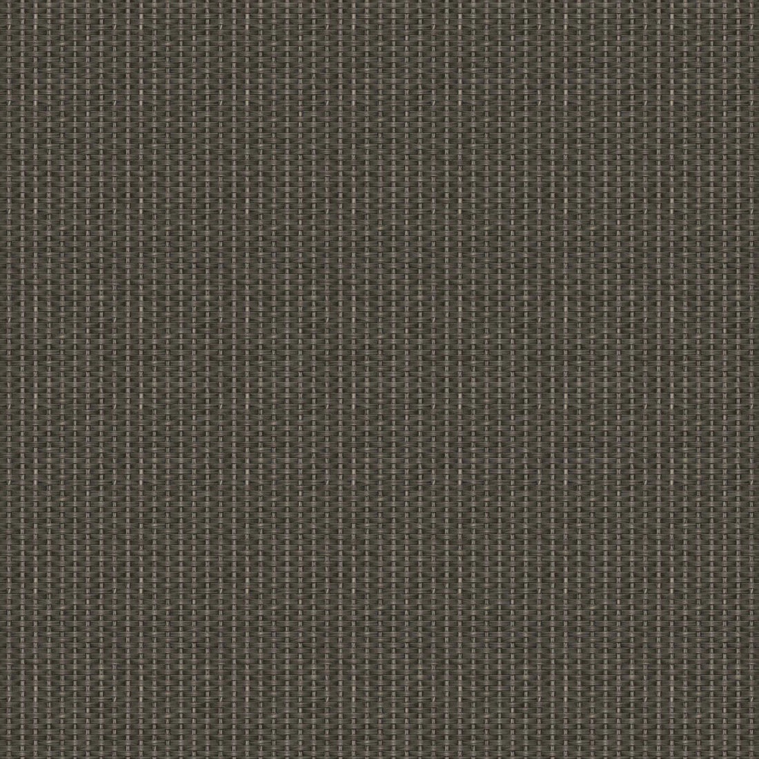 Coordonné behang Kuba D00241