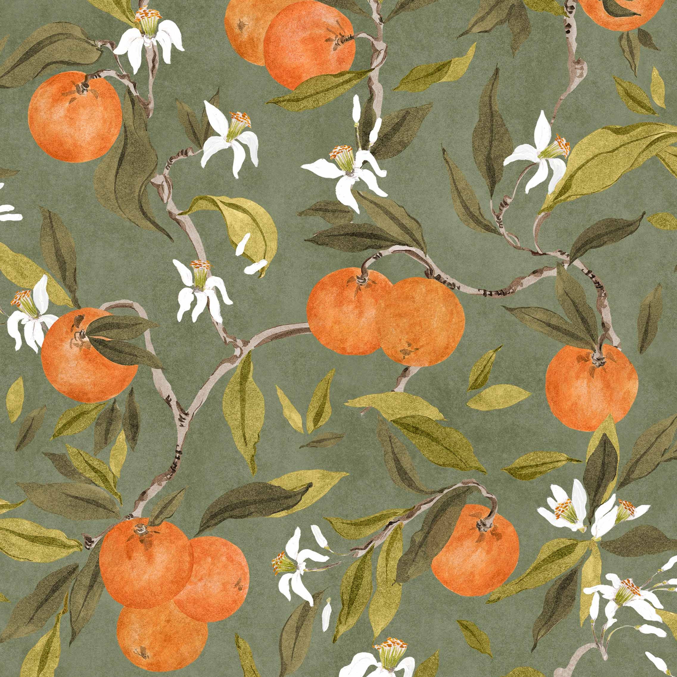 Coordonné behang Naranjos Celadon YSP0608