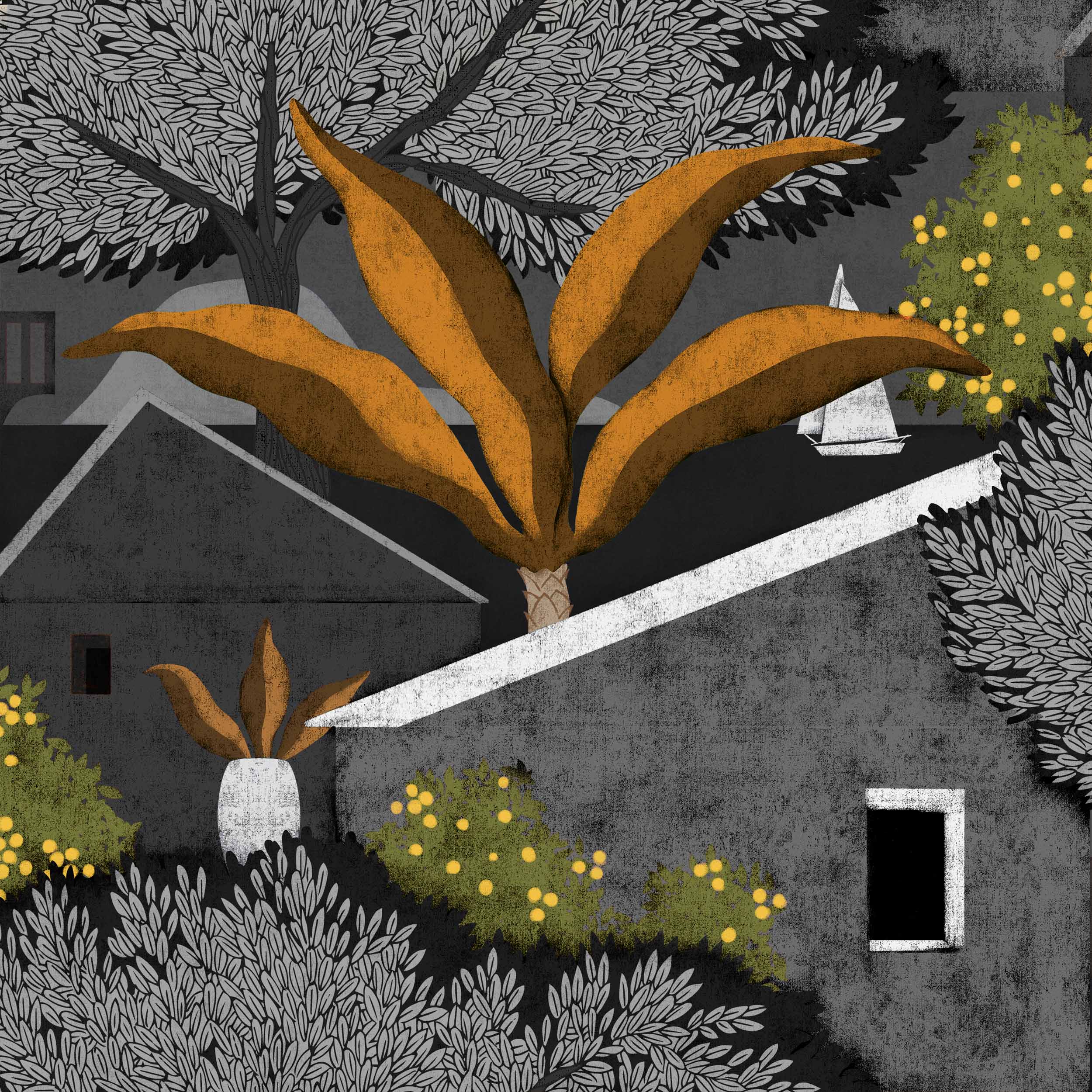 Coordonné behang Nopoló Carbón C00009