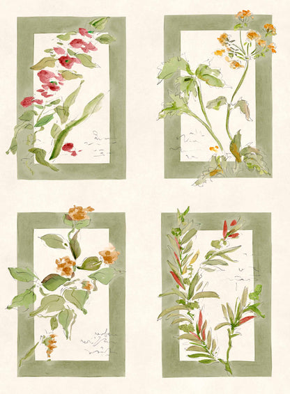Coordonné behang Sta Cruz Celadon YSP0631
