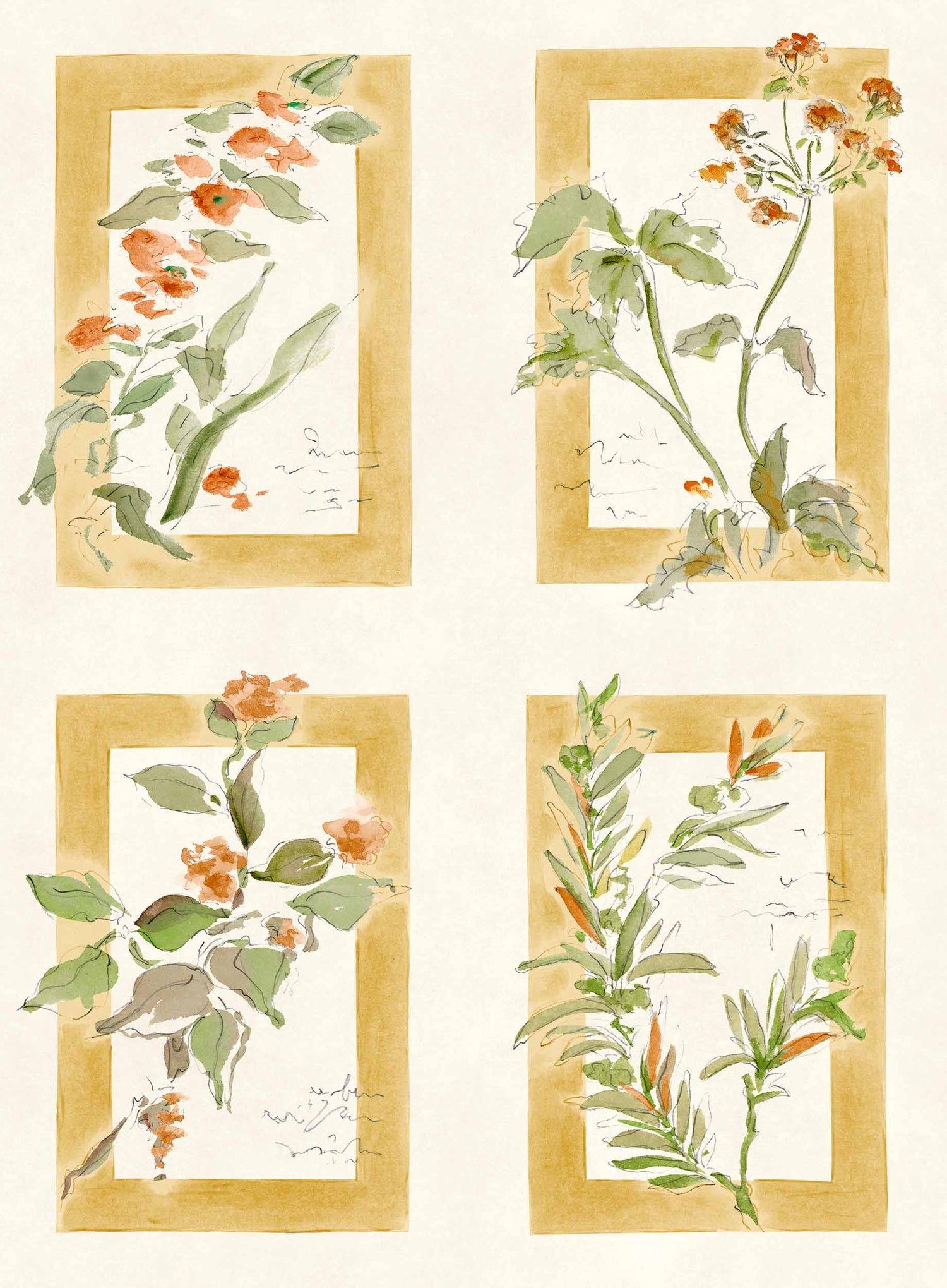 Coordonné behang Sta Cruz Ocre YSP0630