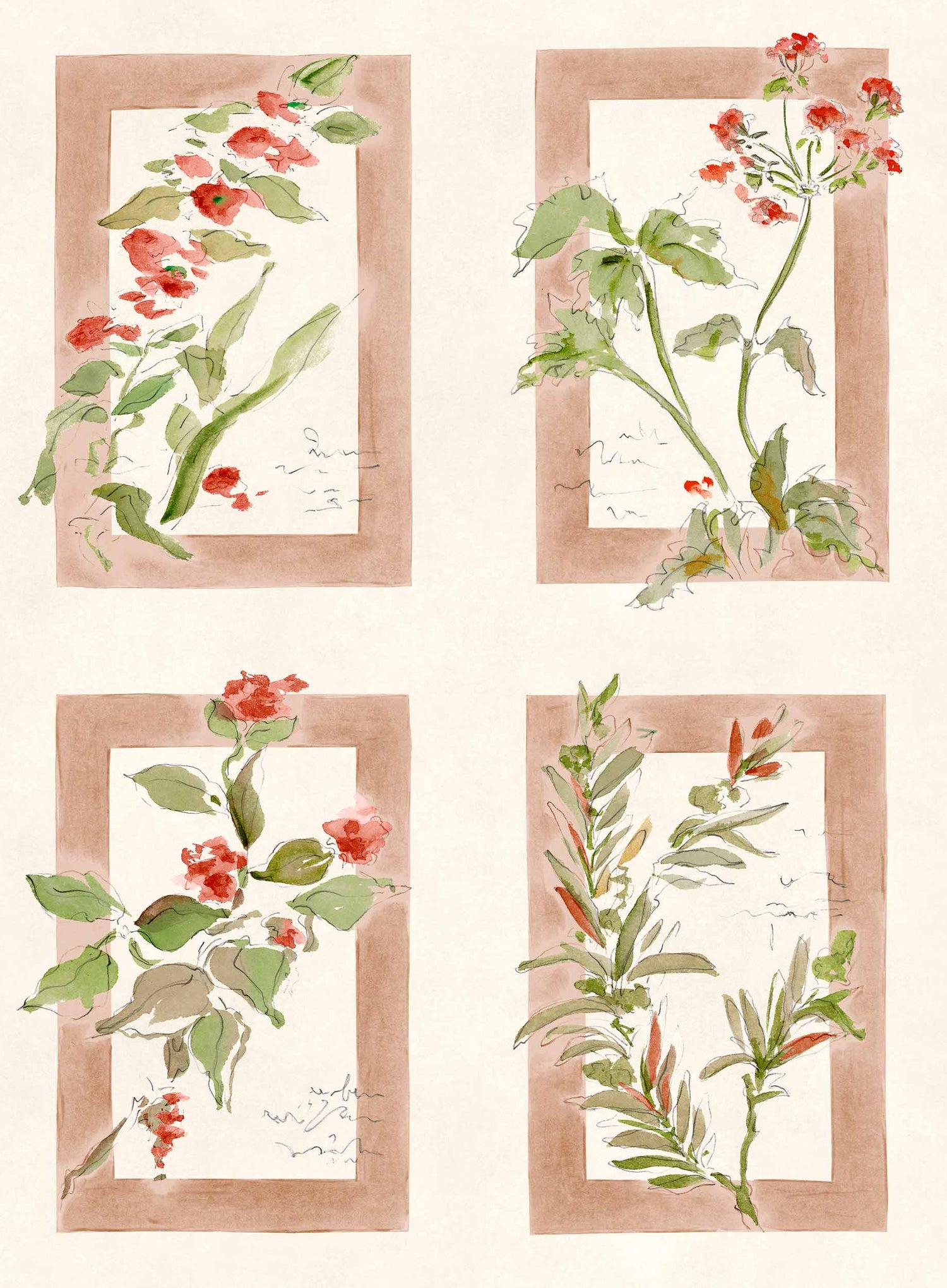 Coordonné behang Sta Cruz Rosado YSP0632