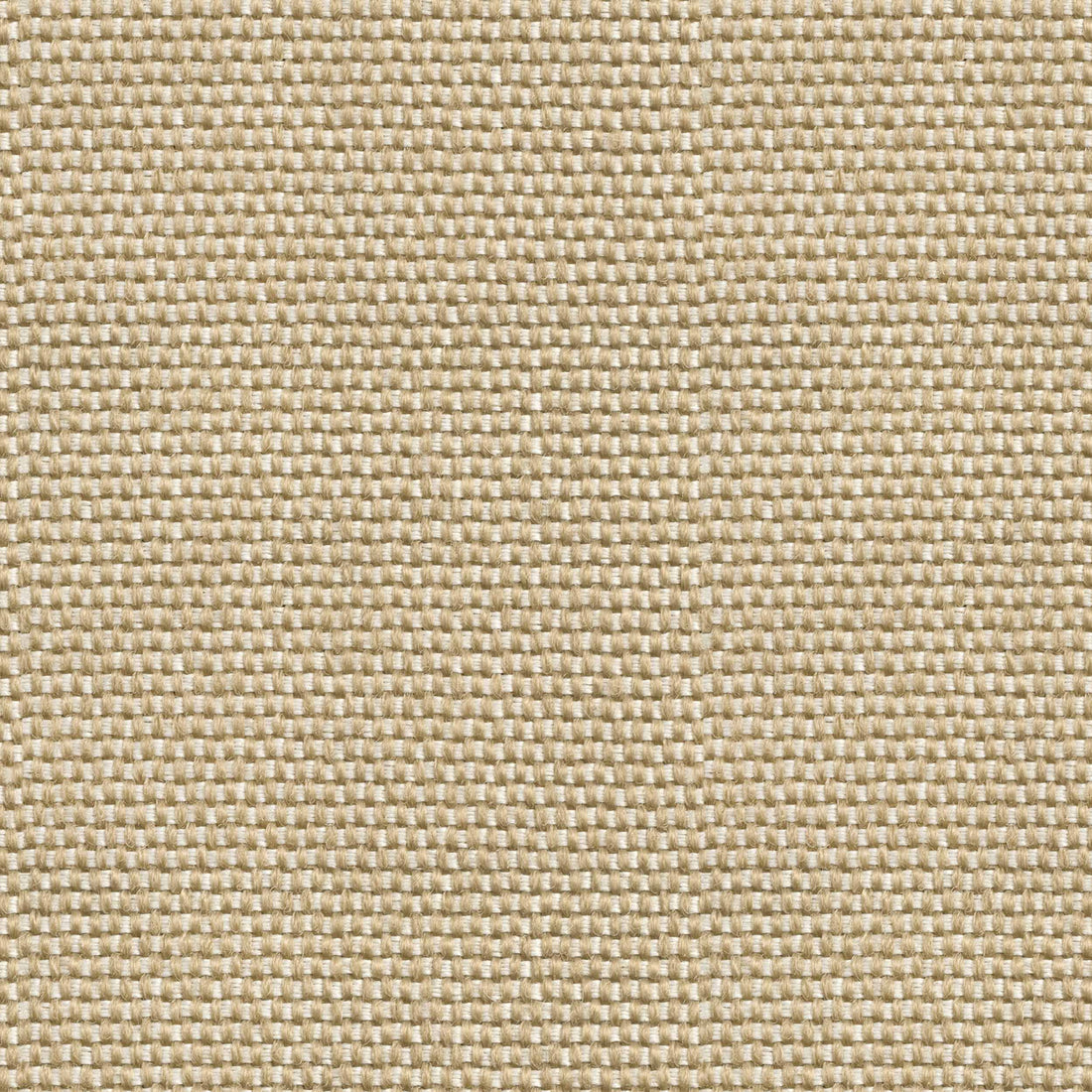 Coordonné behang Yuca Arena C00037