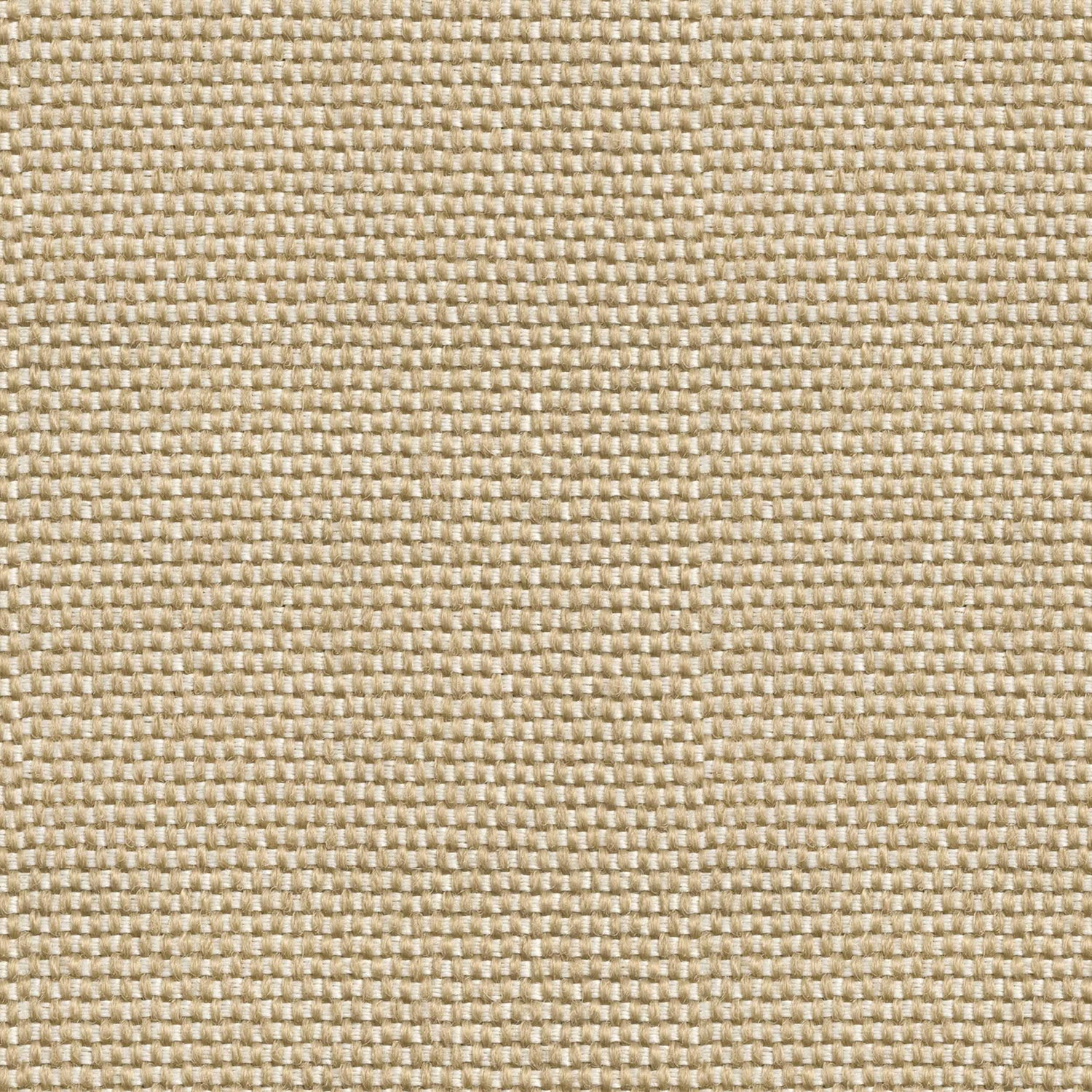 Coordonné behang Yuca Arena C00037