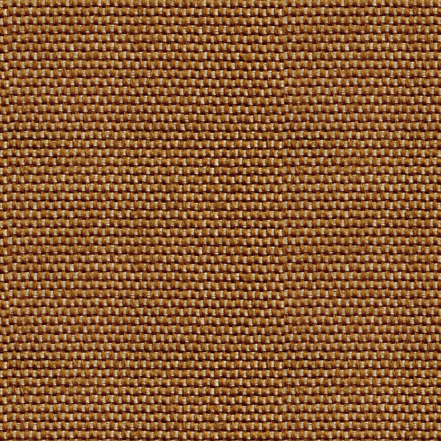 Coordonné behang Yuca Café C00036