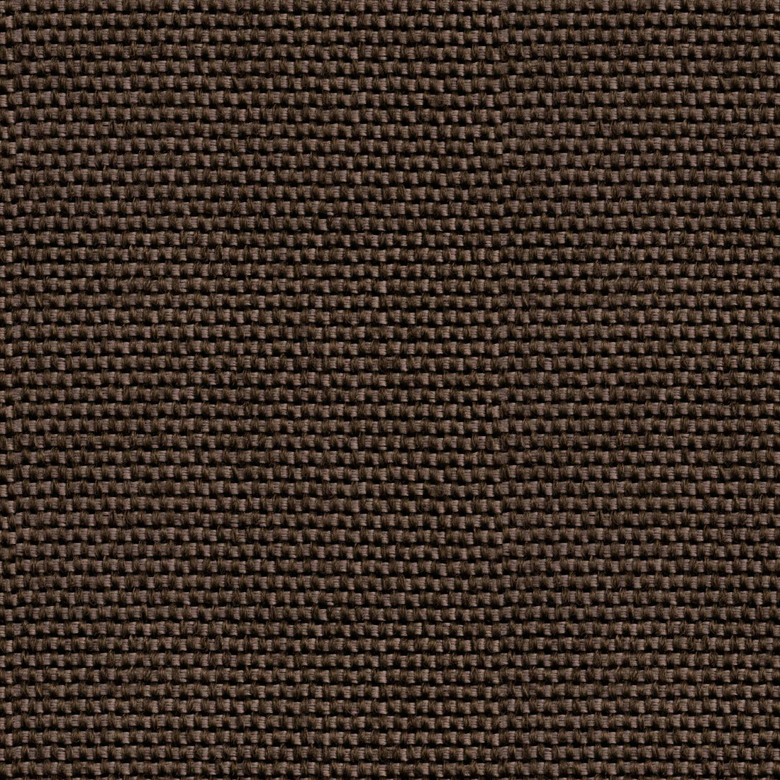 Coordonné behang Yuca Carbón C00038