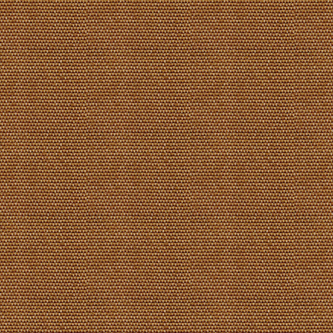 Coordonné behang Yuca D00221