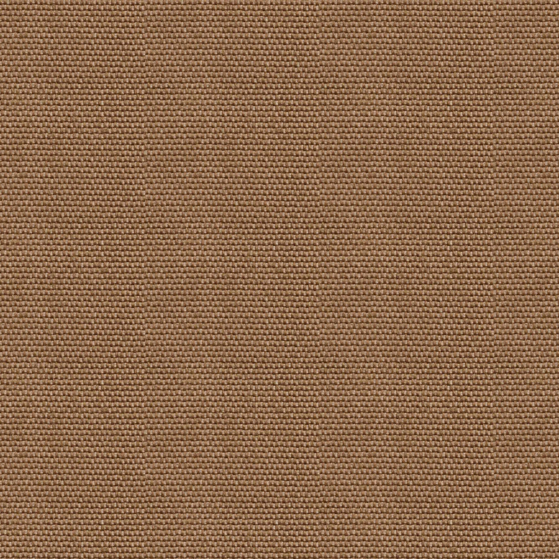 Coordonné behang Yuca D00222