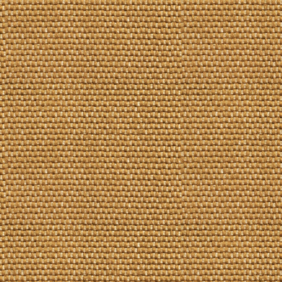 Coordonné behang Yuca Mostaza C00039