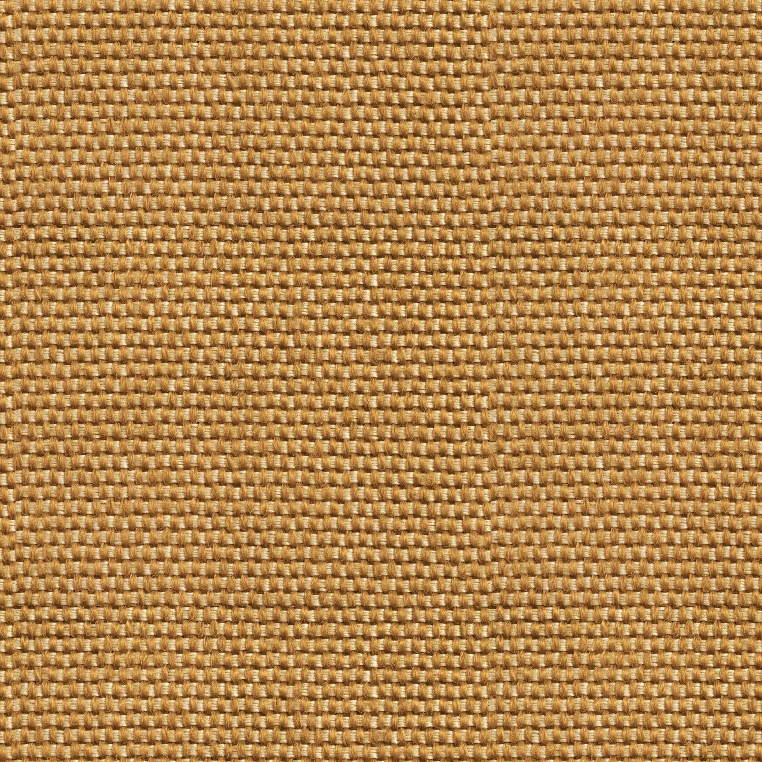 Coordonné behang Yuca Mostaza C00039