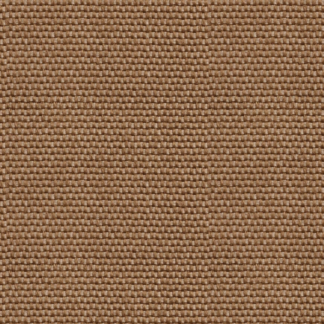 Coordonné behang Yuca Sombra C00040