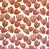 Karin Sajo stof Flowers KS 168 - 46 Sanguine