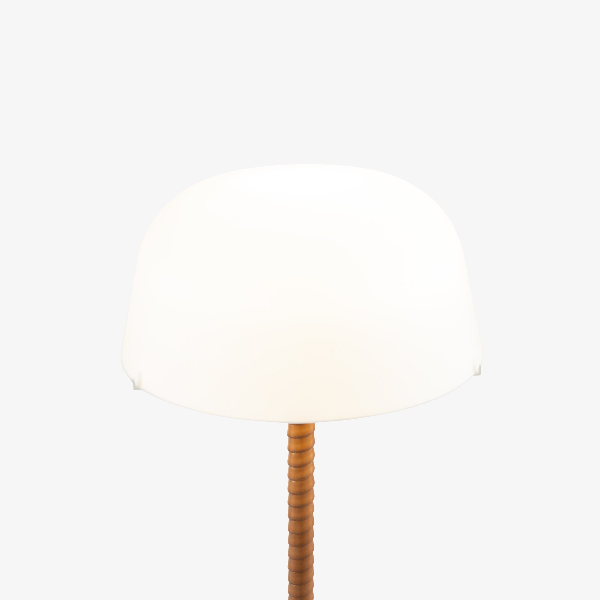 Ligne Roset Guidole vloerlamp