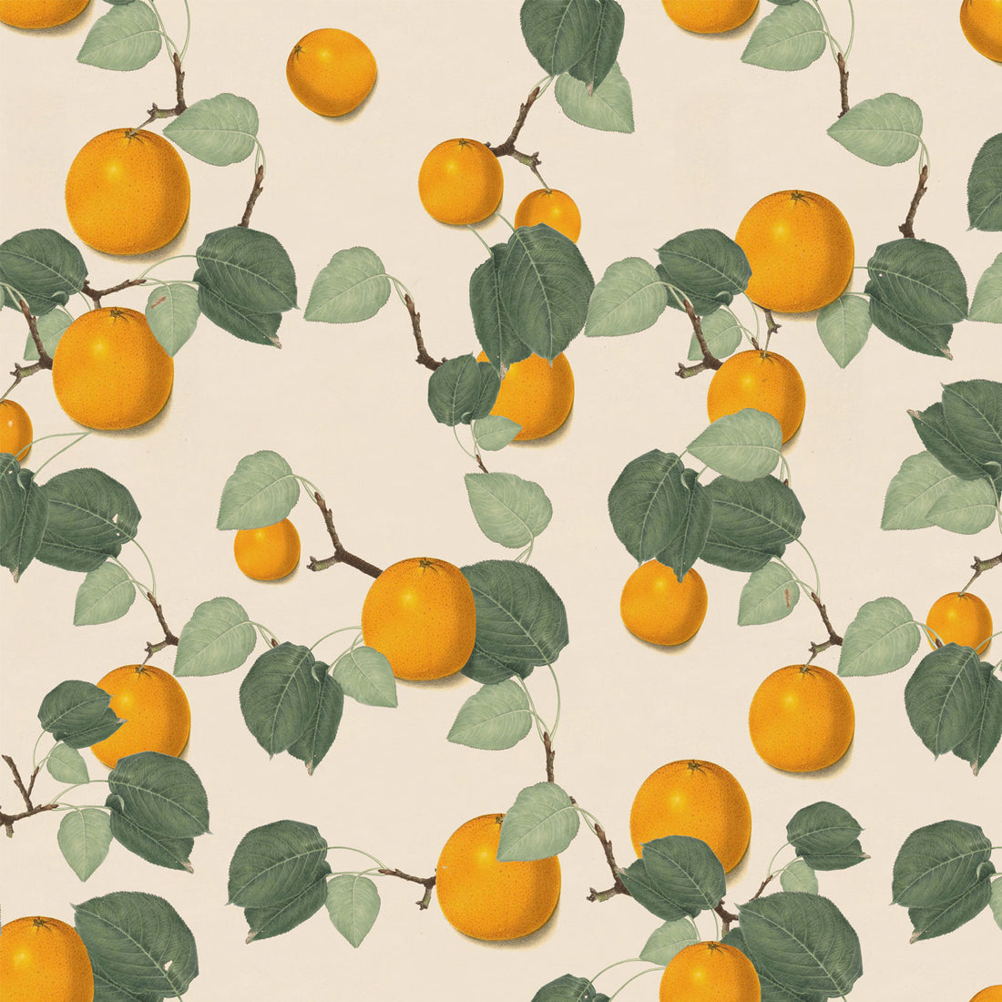 Jennifer Shorto behang Orange &amp; Leaves
