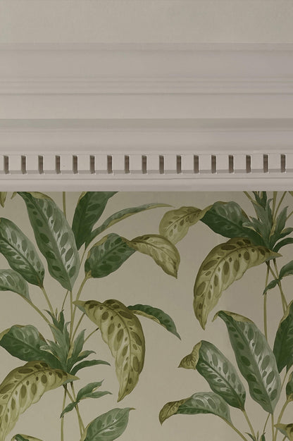 Paint &amp; Paper Library verf Sand I (261)