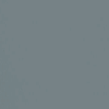 Paint & Paper Library verf Btwn Dog & Wolf (693)