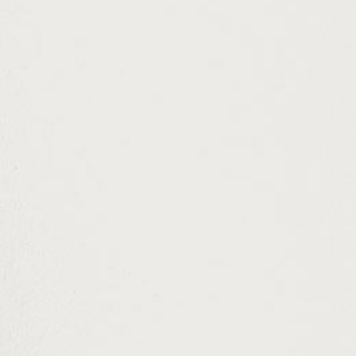 Paint & Paper Library verf Capuchin (289)