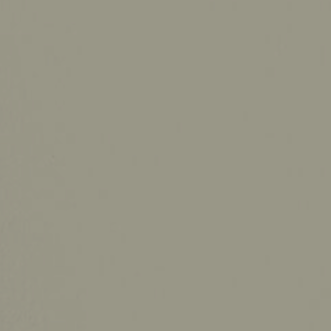 Paint & Paper Library verf Moleskin (218)