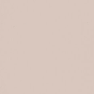 Paint & Paper Library verf Plaster IV (404)