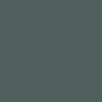Paint &amp; Paper Library verf Squid Ink (698)